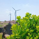 도정보건진료소 이미지