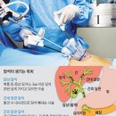 차병원 옆 이미지