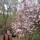 곡성-161 이미지