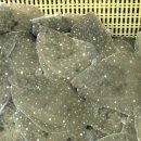 김천상회 이미지