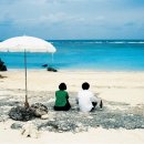 눈꽃안경 이미지