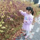 아이패밀리(야탑점) 이미지