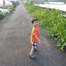 음메소농장 이미지