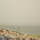 금산-51 이미지