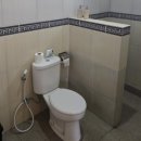 가우리 GAURI 이미지