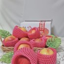 승주유통 네이버블로그