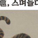 비토민화