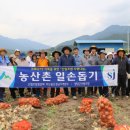 산림조합 부울경본부 농산촌 일손돕기 이미지