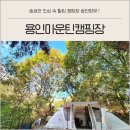 마운틴캠핑장 | 용인마운틴캠핑장 수도권캠핑 T존 이용후기 사이트 명당추천