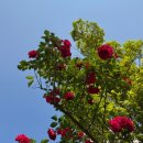 한국사능력검정 심화특강 | 한국사능력검정 심화 1급 합격 후기