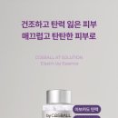 오다뷰티 네이버블로그