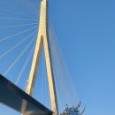 목포해상케이블카 북항유달산 승강장 주변 이미지