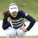 버디 마니아타임즈