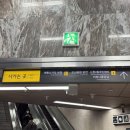 구월의 소철 | 강남구청 맛집 - 구월의 소철 *강남 뭉티기 맛집, 강남 육회 맛집*