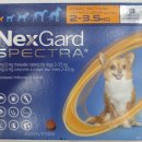 사림동 동물약국 이미지