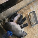 테이블에이 이미지