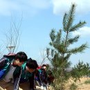 철원광고 이미지
