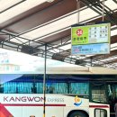 NR-5[영서로]-상-62 | [춘천 당일치기]서울 근교 당일치기 춘천 여행, 춘천 벚꽃 명소