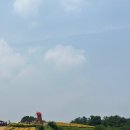 함안어탕 이미지