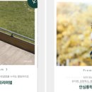 재단법인일신기독교선교회 일신기독병원 이미지