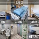 청아한방병원 네이버블로그