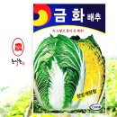 원통골농장 | 봄동 가을배추 유채꽃 월동초 월동춘채 씨앗 심는시기