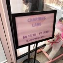 차밍랜드