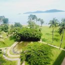 CoCo멍(코코멍) 이미지