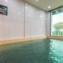 파레사애견풀빌라 이미지