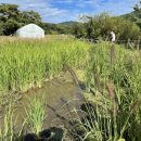 백운호수 주차장 이미지