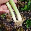 일명농장 이미지