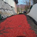 금순농장 이미지