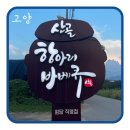 [원당맛집] 애견동반 가능한 일산캠핑고깃집 산골항아리바베큐 원당점