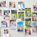 까까달래 이미지