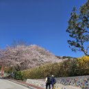 화부산주유소 네이버블로그