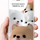 펫다이어리 이미지