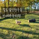 털로덮인친구들(키녹점) 이미지