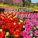 애견세계 | 2025태안 세계튤립꽃박람회 태안튤립축제 애견동반여행 추천