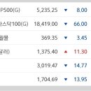 (주)알베로디자인 이미지