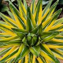 창전농장 이미지