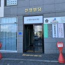 레푸스&슈필라움네일
