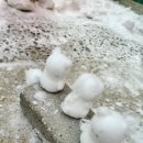 중동청과 이미지