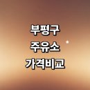 은현농협 에너지주유소 | 인천 부평구 근처 주유소 가격비교 정보 추천 농협 고급유 주유카드 세차장