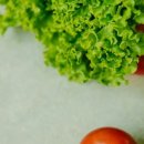 스마트팜 이미지