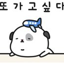 파인트리리조트 이미지