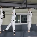 퍼펙트 유도관 이미지