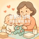 쌍둥이 남매 산후도우미 후기