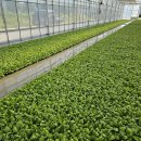 천북농업협동조합 이미지