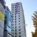 세양모터스 네이버블로그
