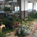 그림하우스 이미지